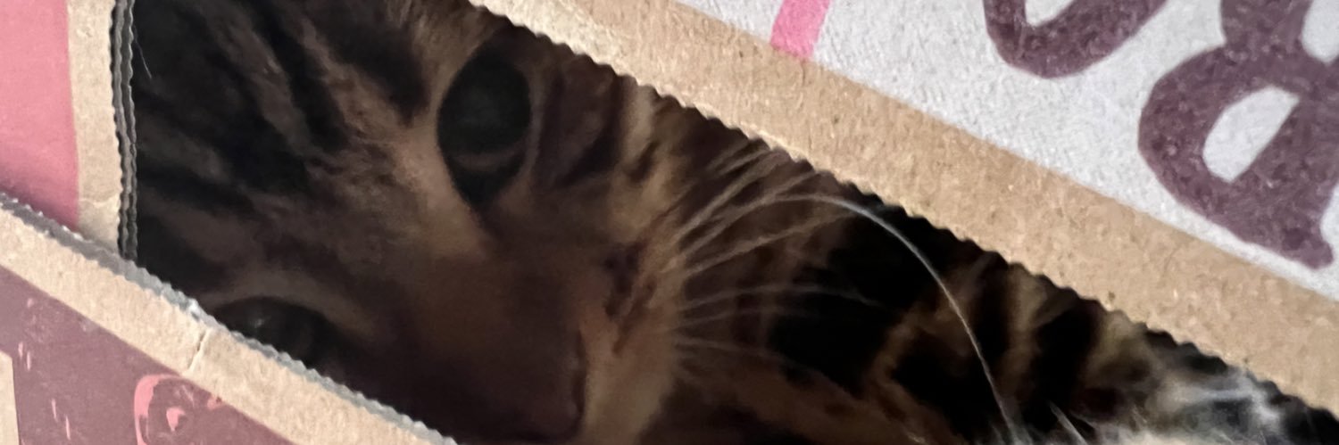 boobee36's profile banner image