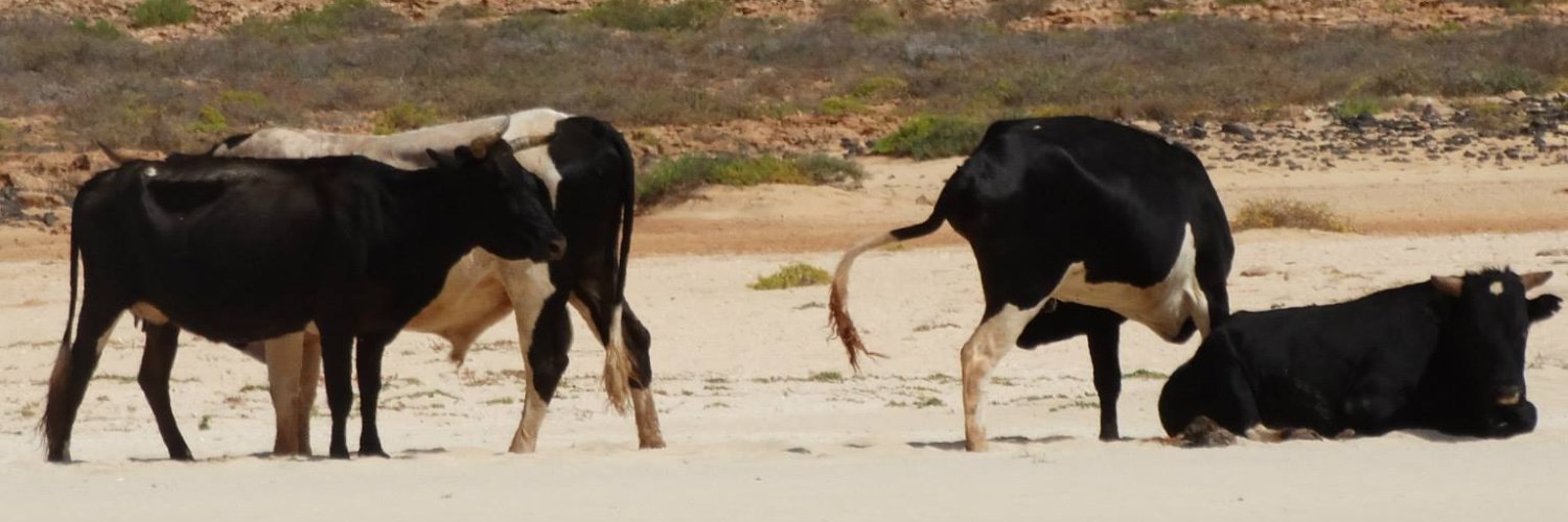 John Rawstron banner