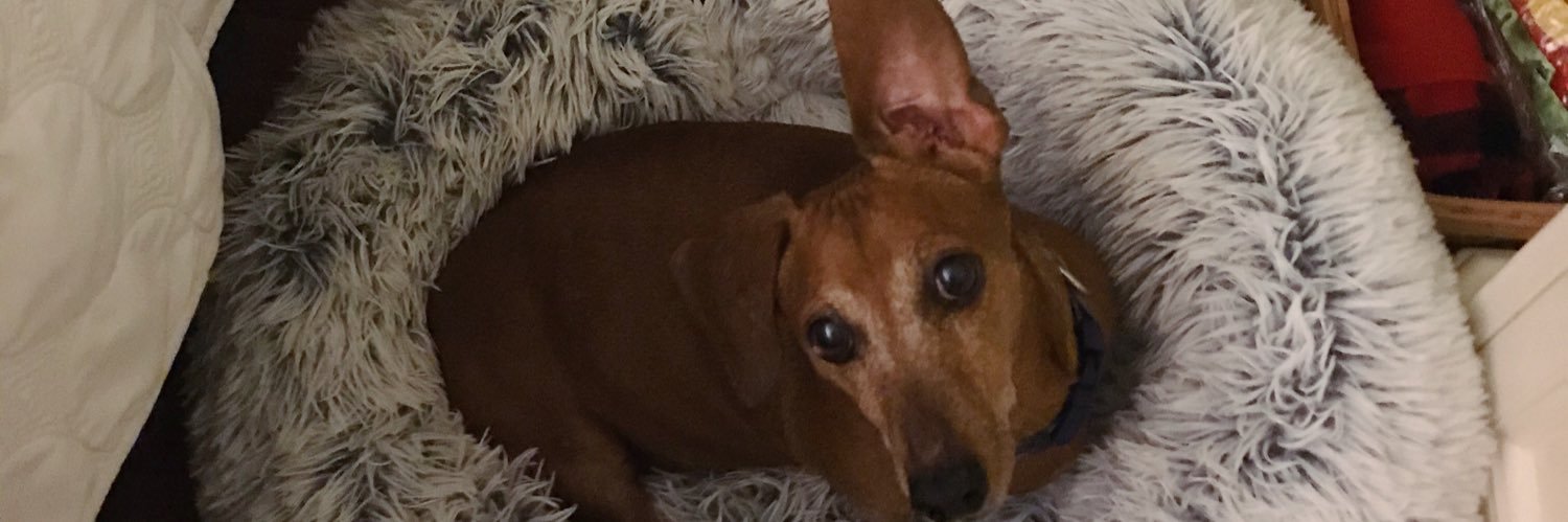 KitKatKaitlyn4's profile banner image