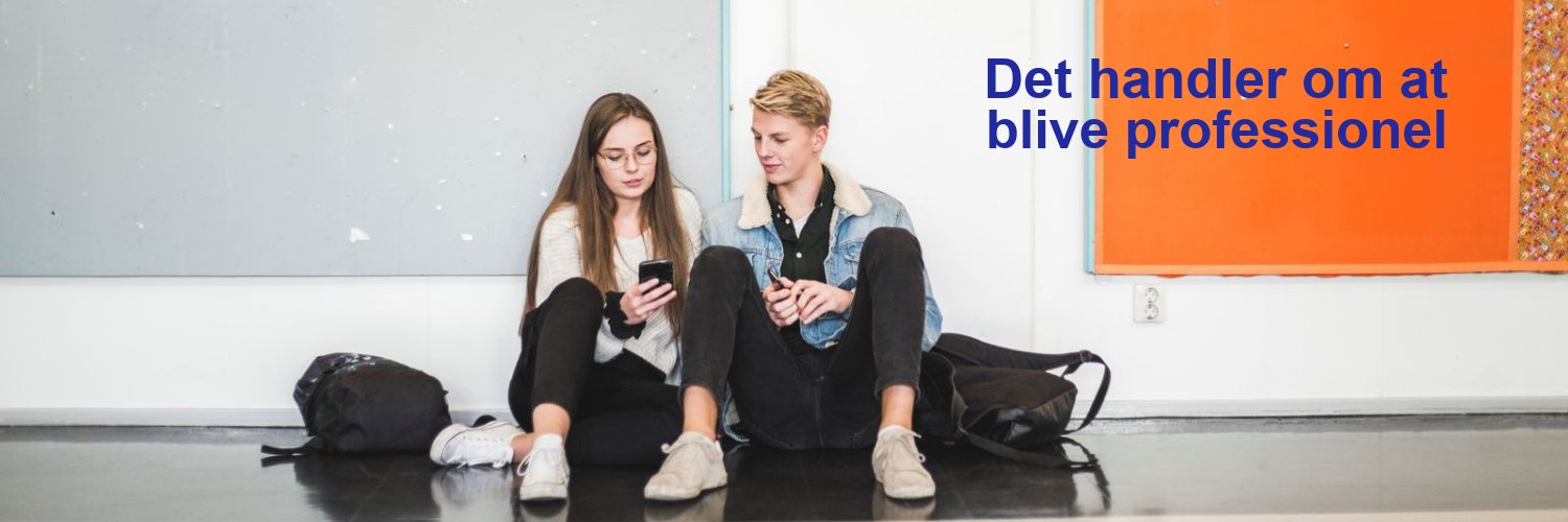 Danske Professionshøjskoler banner