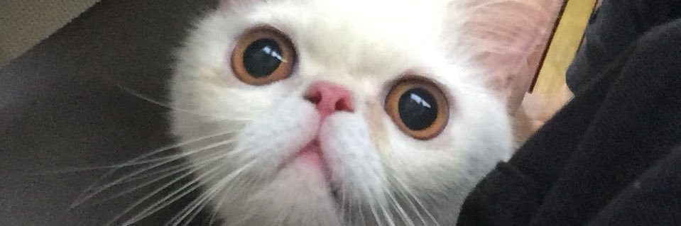Kevindva's profile banner image