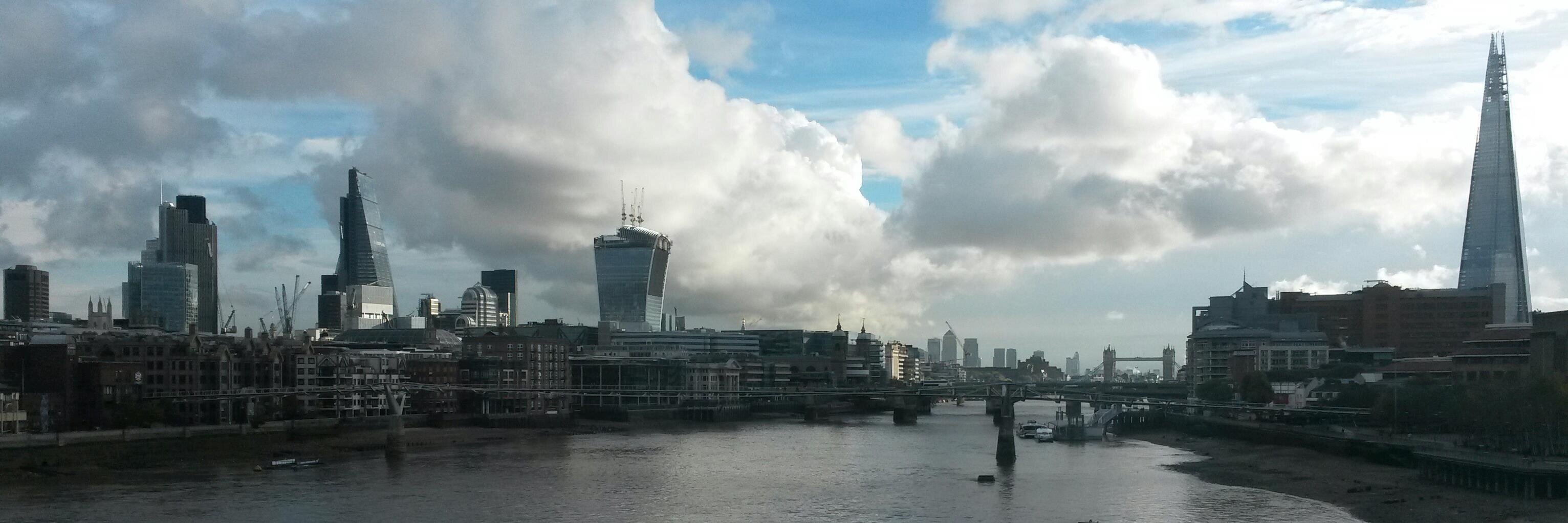 Anne Laybourne banner