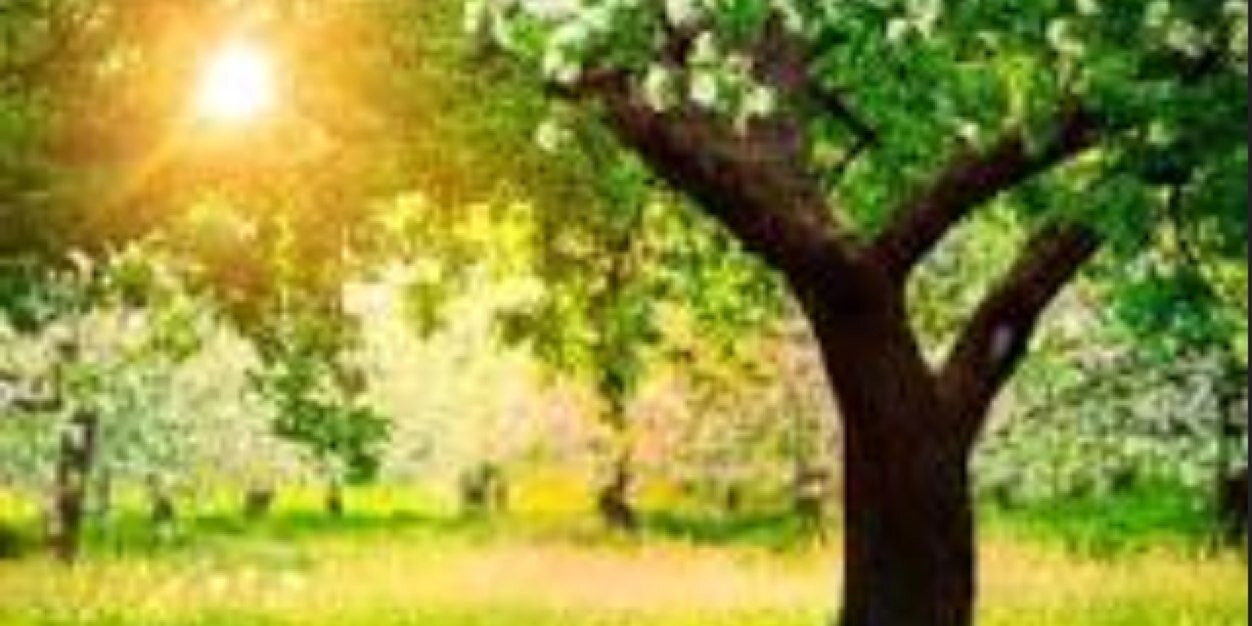 makeachange888's profile banner image