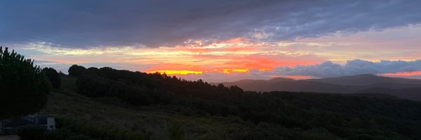 andrewfjp Profile Banner