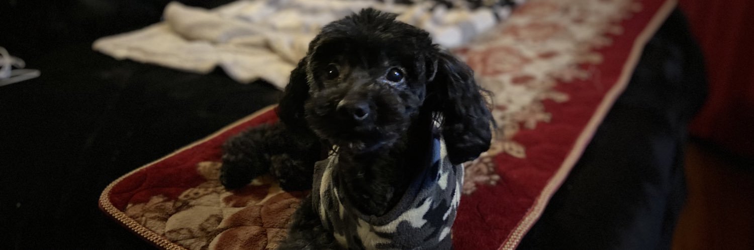 leslieu10's profile banner image