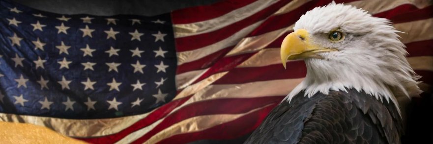 User No. 9876541 🇺🇲 banner