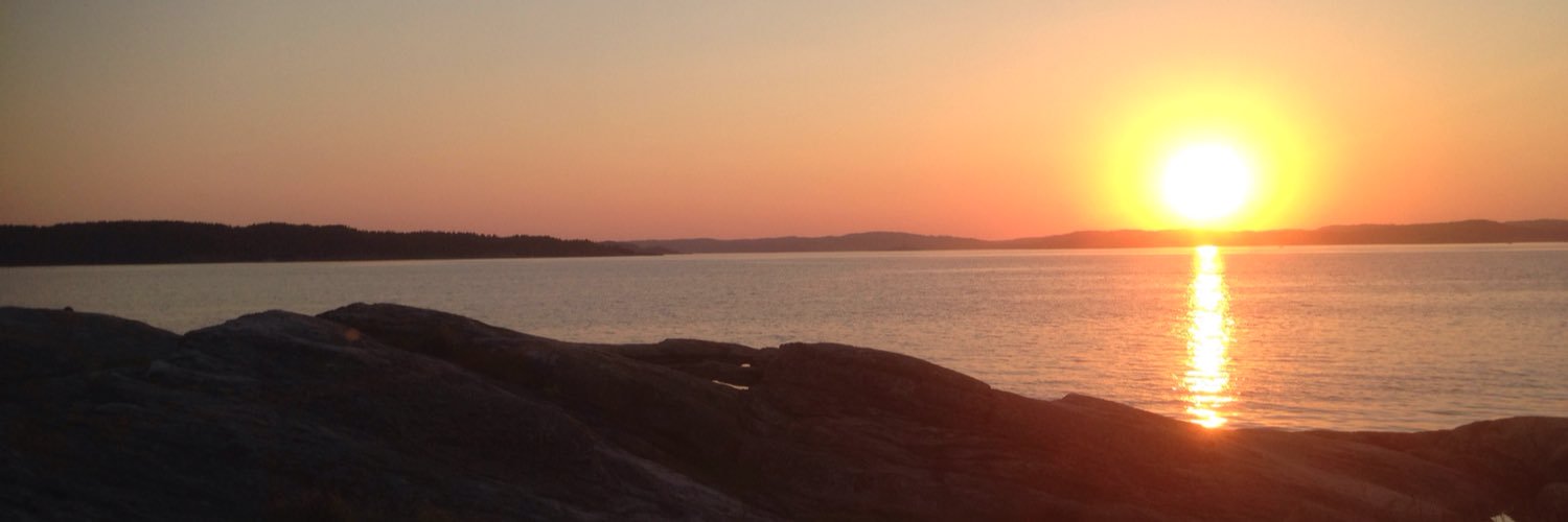 thorbjorm's profile banner image