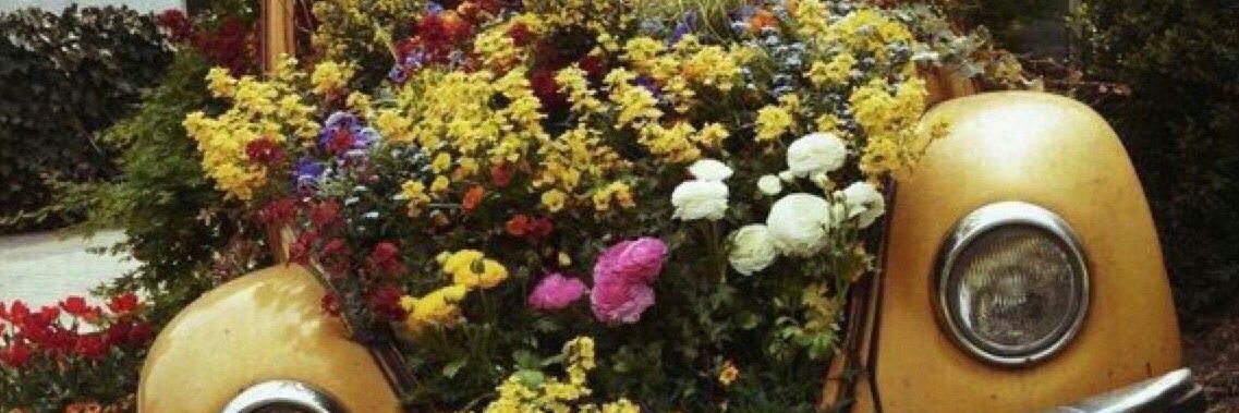 Mona_Moonay's profile banner image