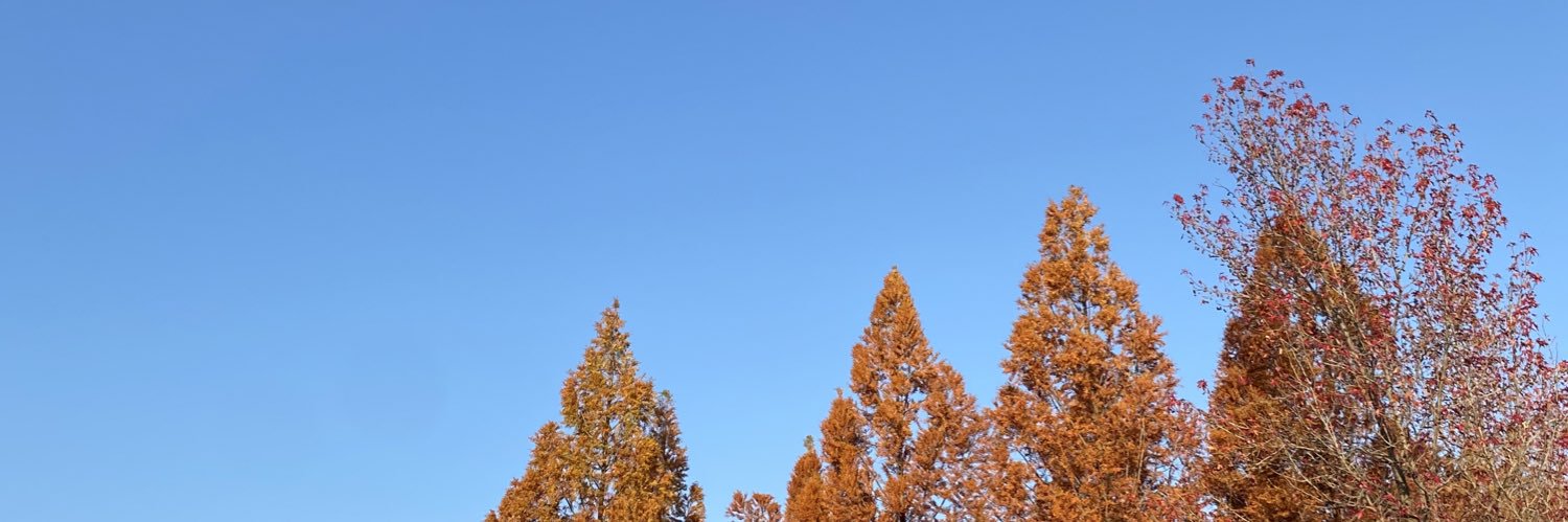 kent_6090's profile banner image