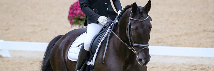 aaequus4life's profile banner image