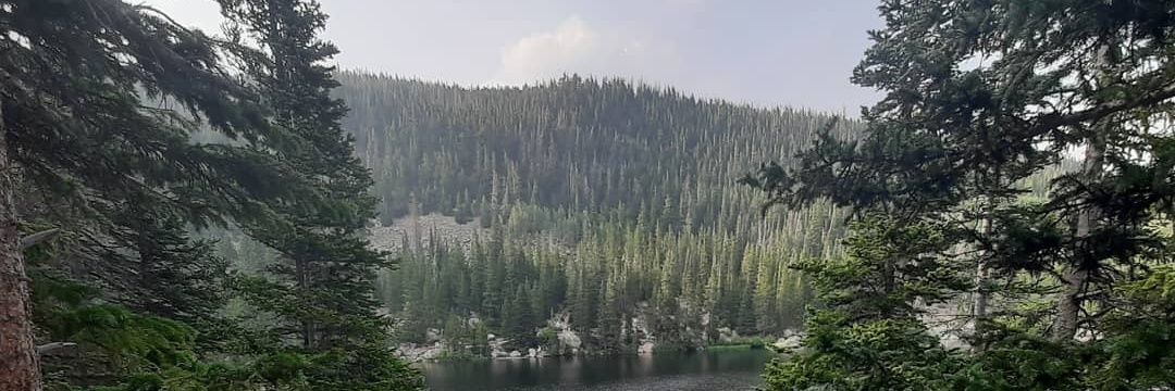 adamwl23's profile banner image