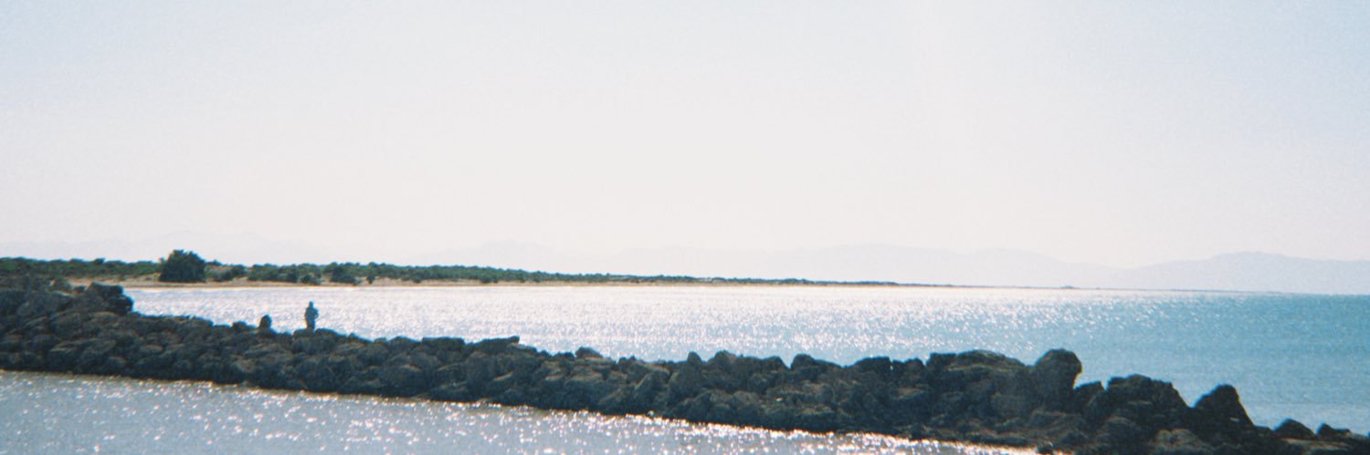 rihserendip's profile banner image