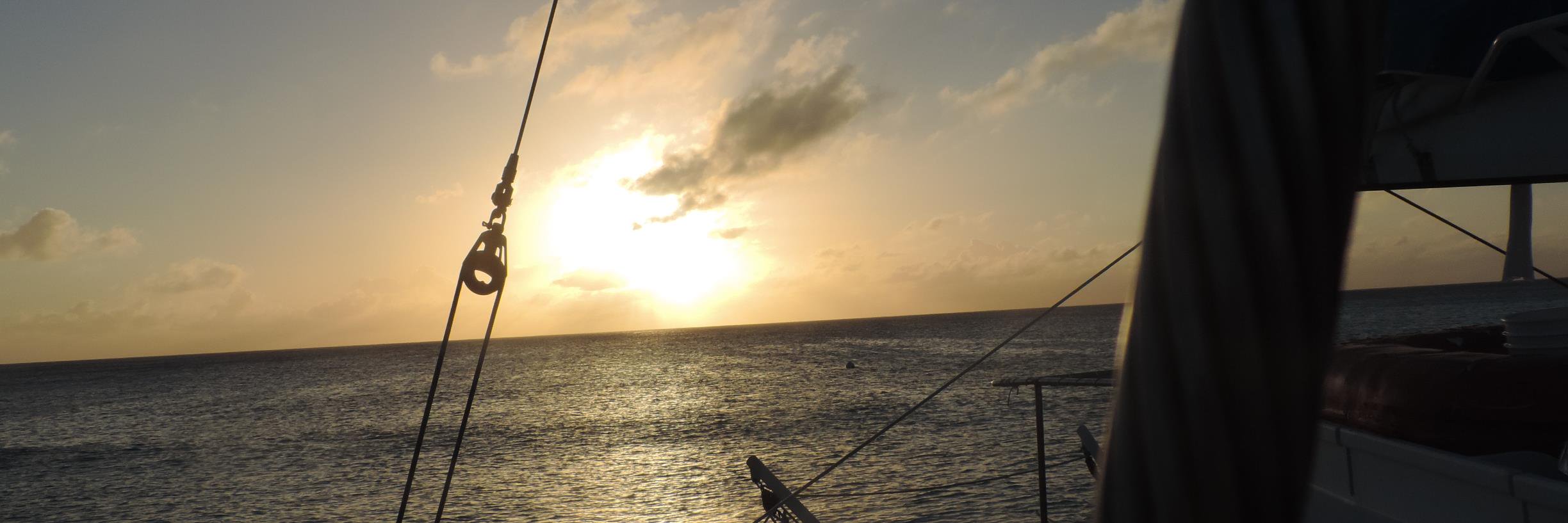 lauhamelSAP's profile banner image