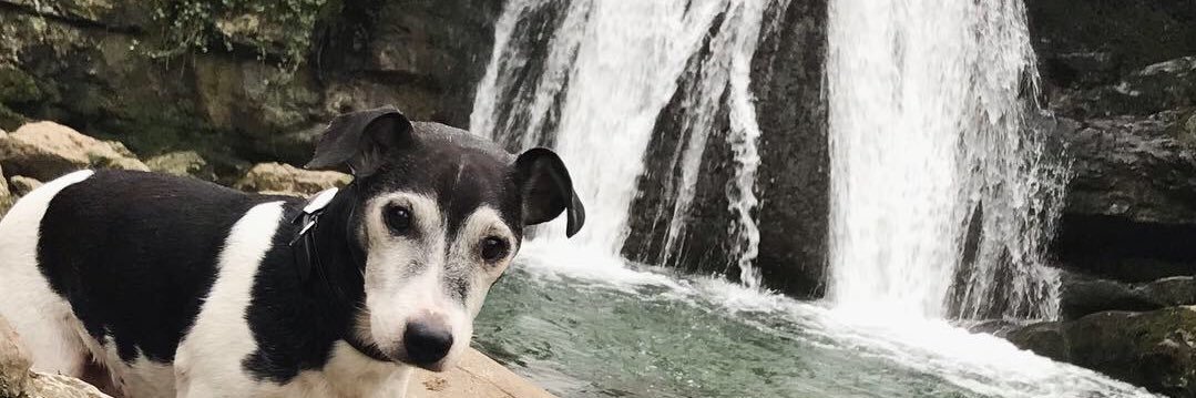 John Chatterton banner