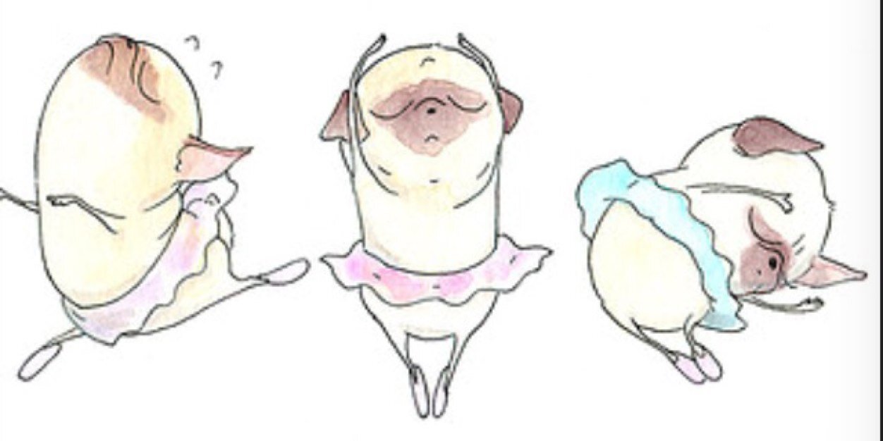 TarshieRee's profile banner image