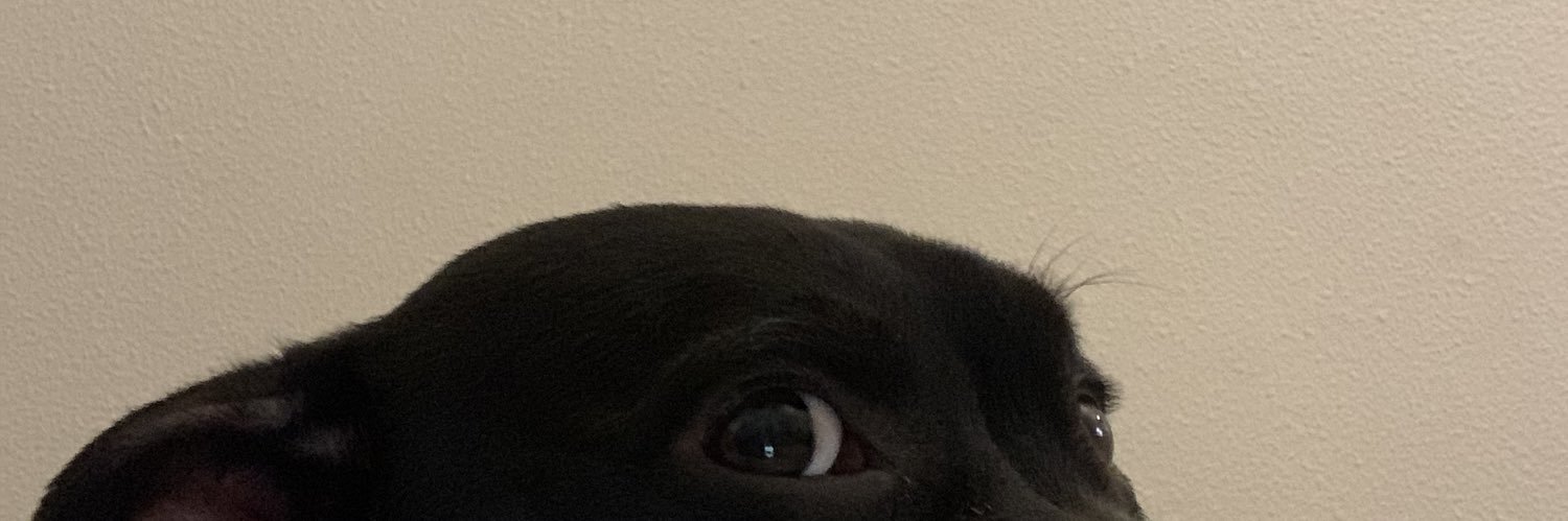 gabzeeeh's profile banner image