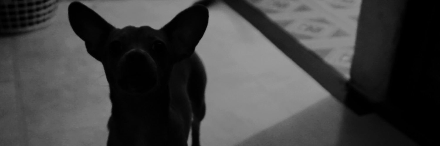 SoyHoro's profile banner image