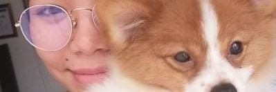 ivnslmt's profile banner image