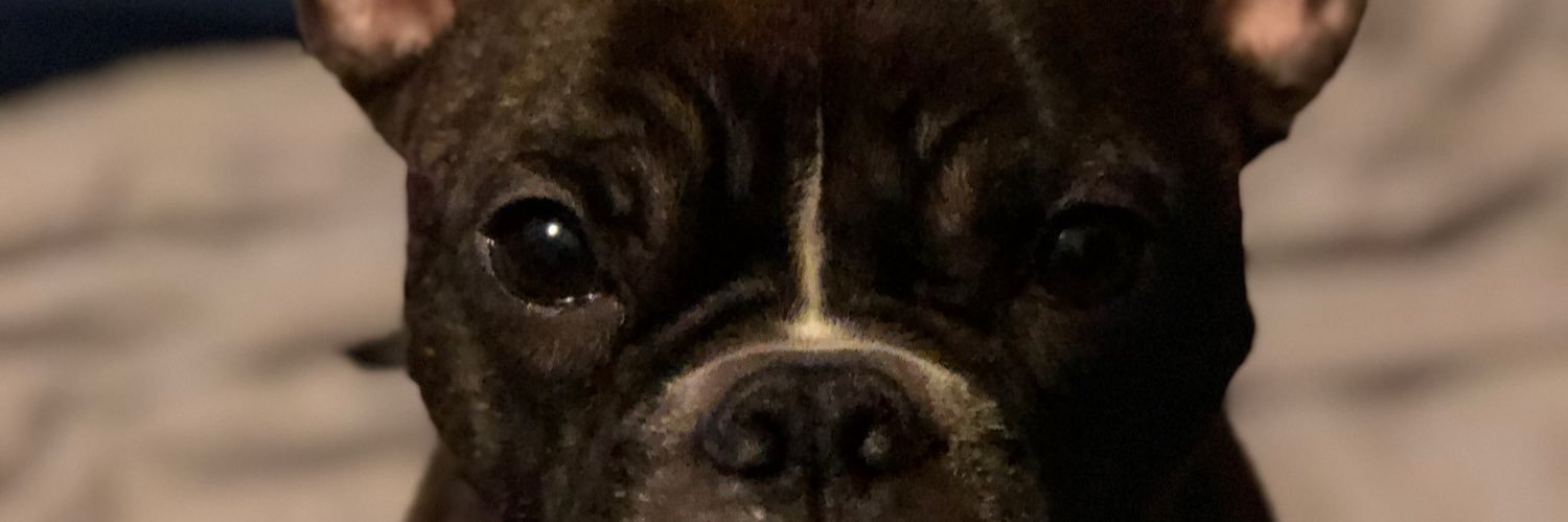 TylerYpsi's profile banner image