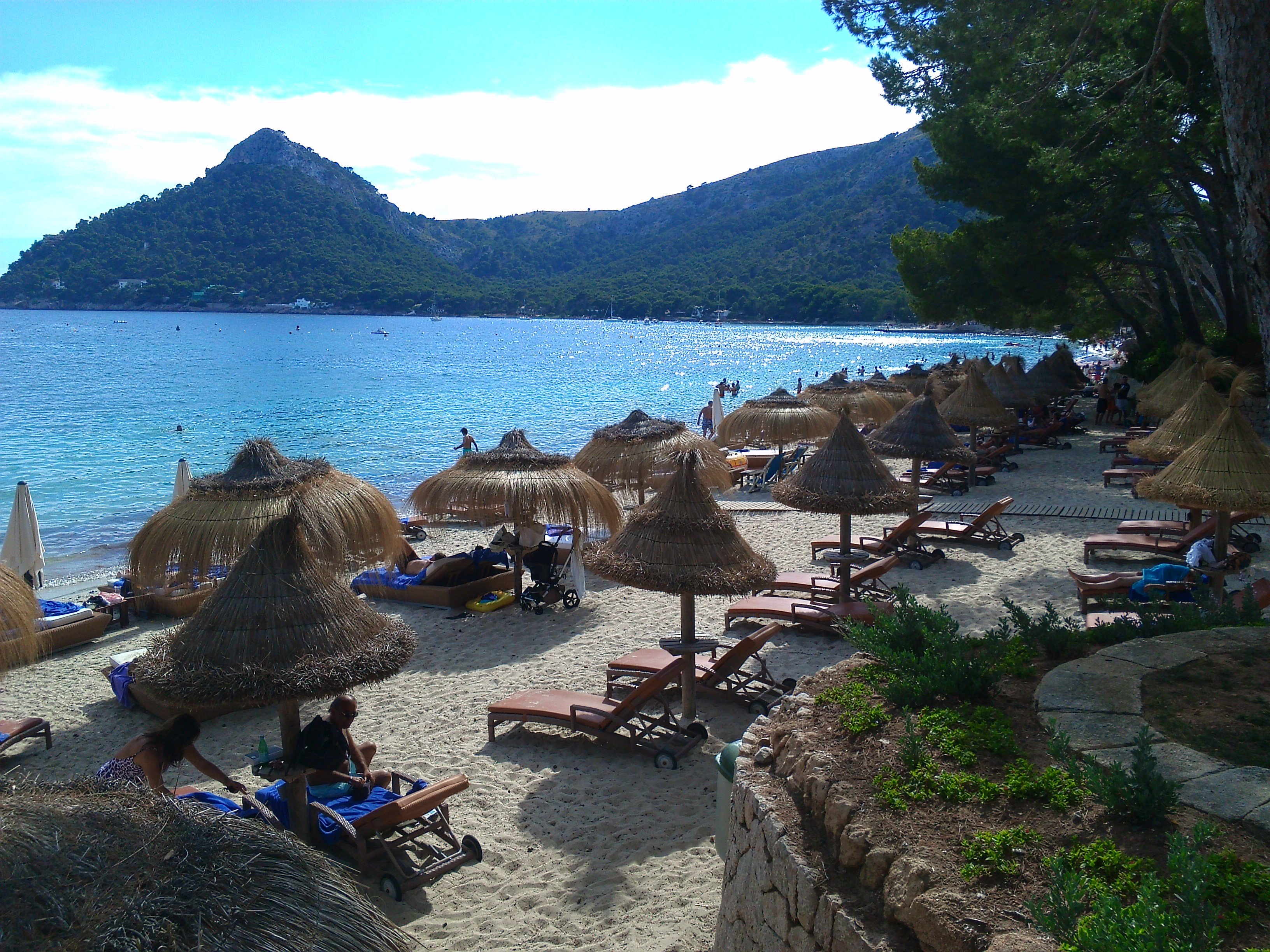 Filip ∆ mvb banner