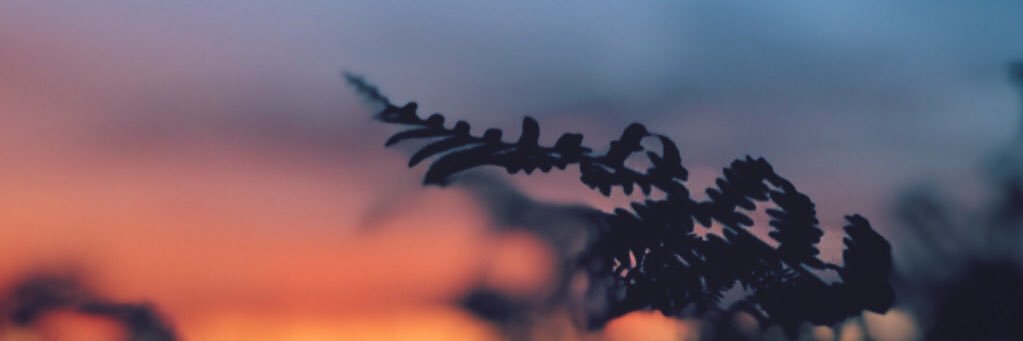 siderasjames's profile banner image