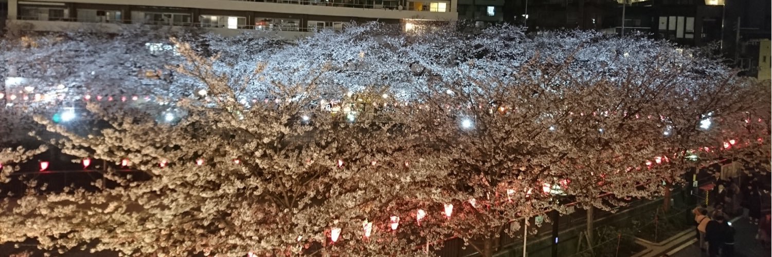 nanairo728's profile banner image