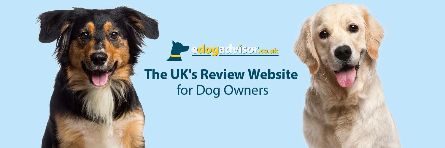 eDogAdvisor.co.uk banner