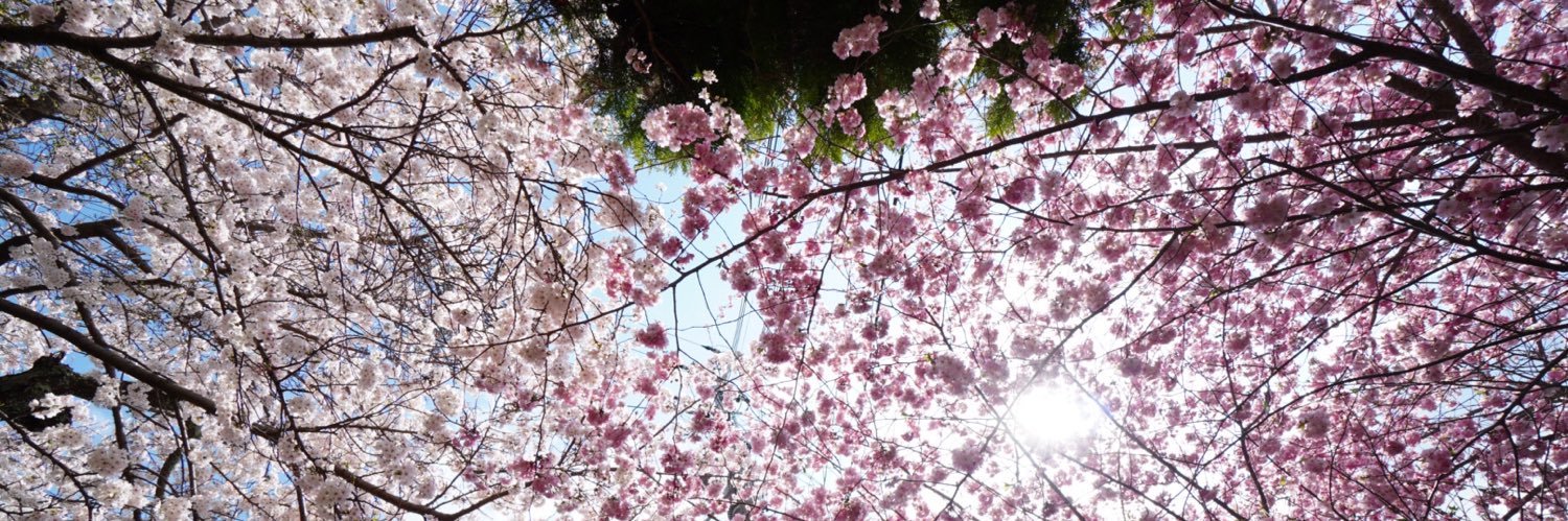 やす banner