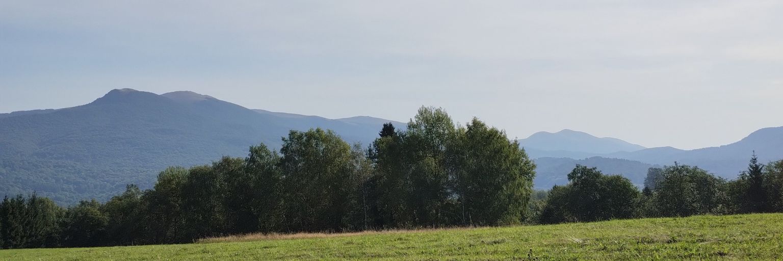 Filip banner