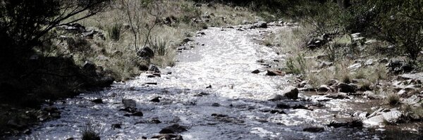 ozpendragon Profile Banner