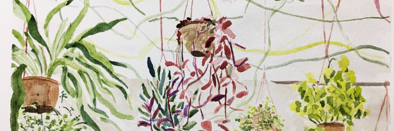 Sofía Fermandois banner