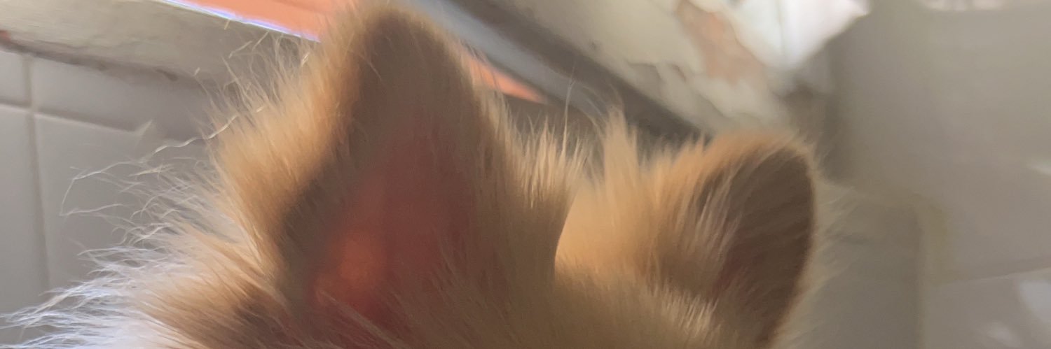 graceofgod_____'s profile banner image