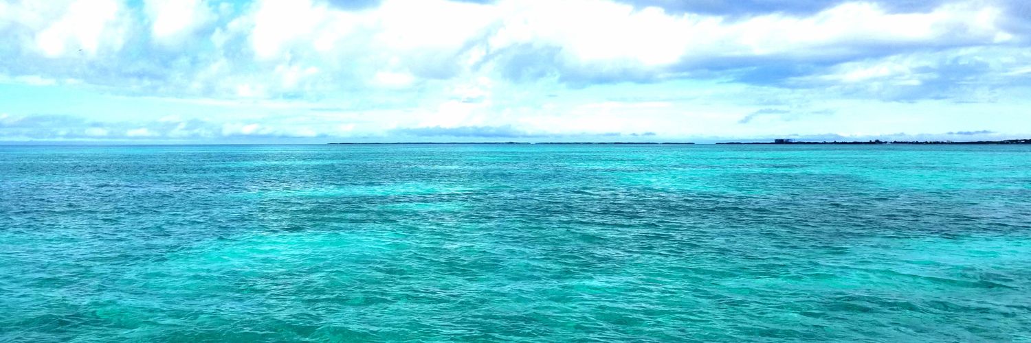 Micanator's profile banner image