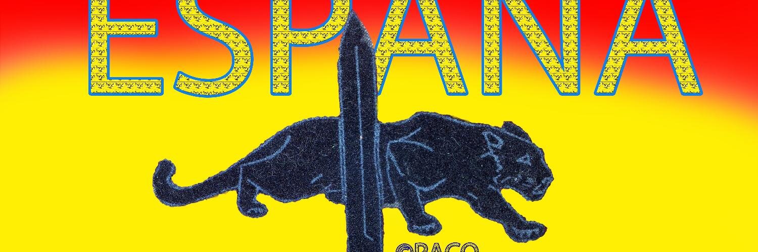 FPTAXEL's profile banner image