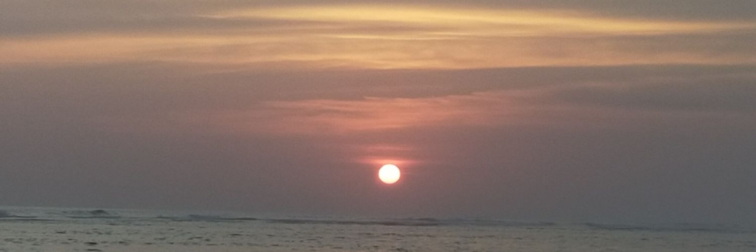 dsfrd_'s profile banner image