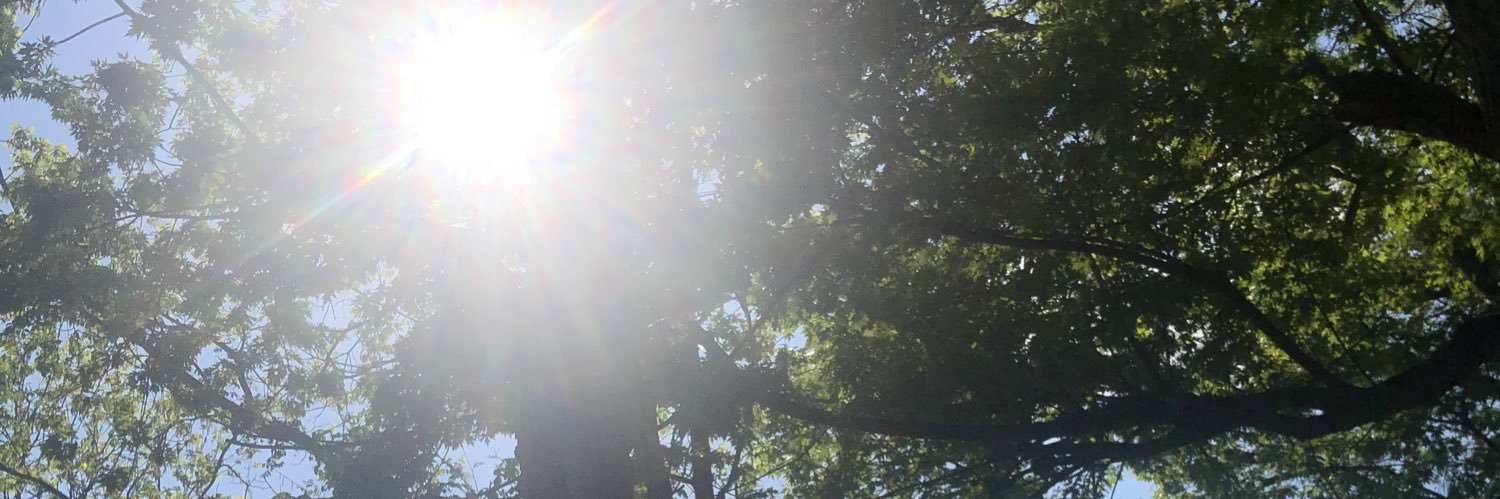 IsabellaRuddy's profile banner image