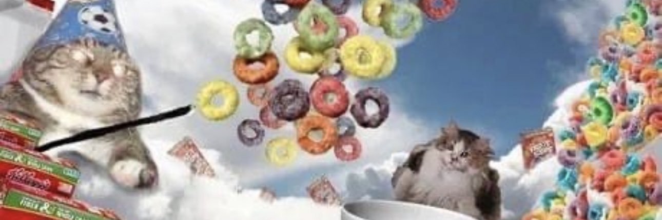 skylagentryy's profile banner image