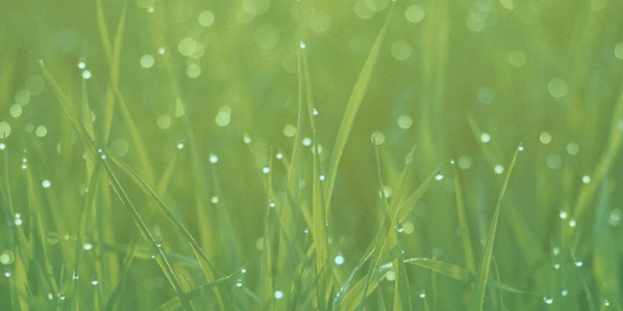 Michael Zellner banner