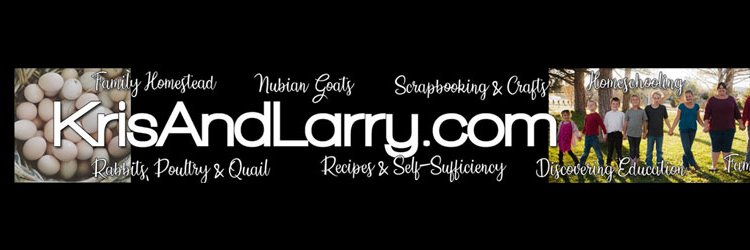 krismazy's profile banner image