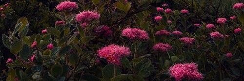 Tasbee7_102's profile banner image