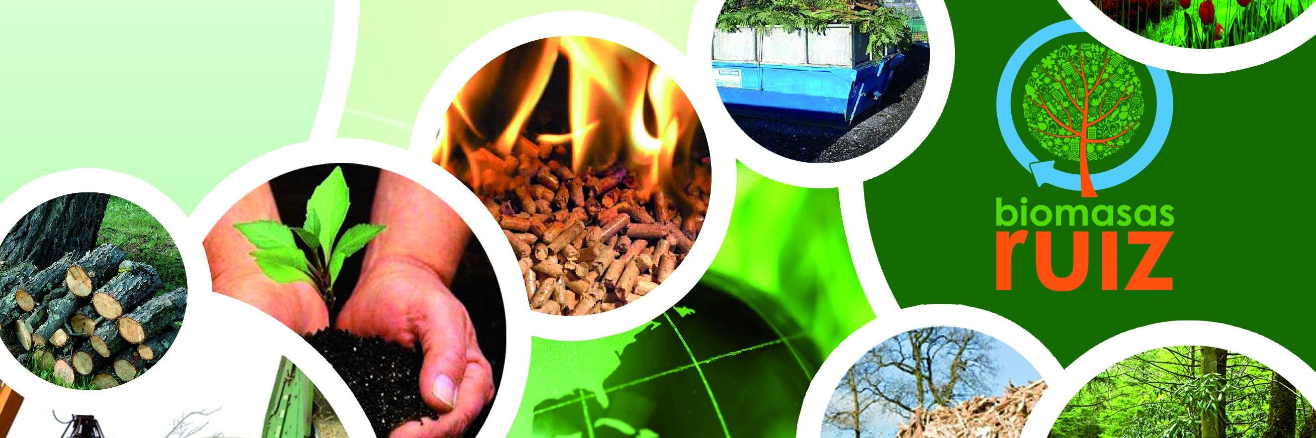 BiomasasRuiz's profile banner image