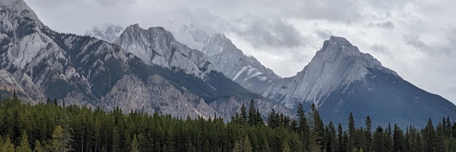 Johnny T. 🇨🇦 banner