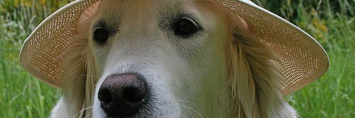 maigiapy's profile banner image