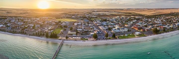 Sam Telfer MP banner
