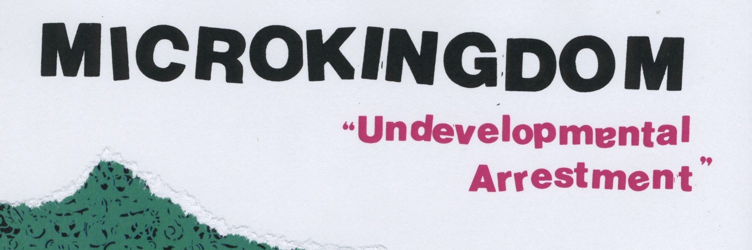 Microkingdom_'s profile banner image