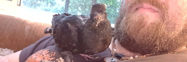 tigeri6 Profile Banner