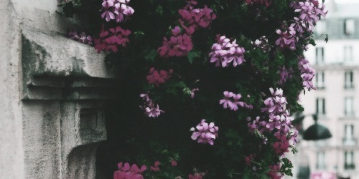 MadisonKarlosYL's profile banner image