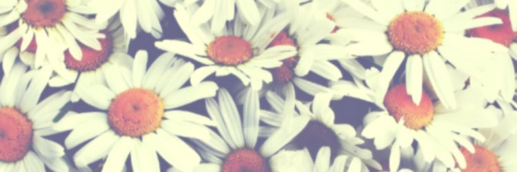 _brielan_'s profile banner image