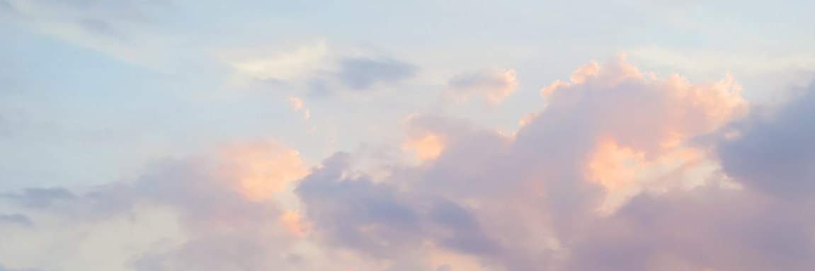 triziaedra's profile banner image