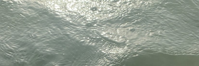 iideev's profile banner image